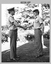Defence Force Service Medal Presentations - Army Survey Regiment, Fortuna Villa, Bendigo. 1982.
