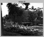 Miscellaneous Photos - Army Headquarters Survey Regiment, Fortuna Villa, Bendigo c1950s. 
