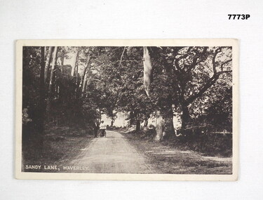 Photograph of a couple walking down a wooded lane.