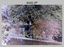 Group Photos of Army Survey Regiment Officers, Fortuna Villa, Bendigo. c1986.