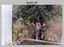 Group Photos of Army Survey Regiment Officers, Fortuna Villa, Bendigo. c1986.