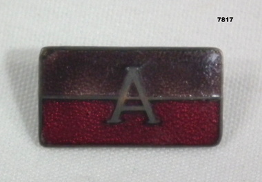 Rectangular metal and enamel Battalion Association badge.