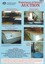 Auction Flyer, Blue, Photos of Printing Presses and lists of equipment back