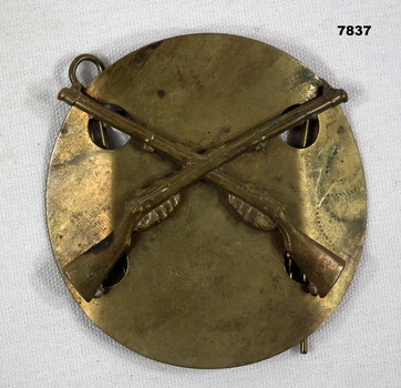 Metal badge featuring crossed rifles on a circular brass plate.