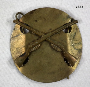 Metal badge featuring crossed rifles on a circular brass plate.