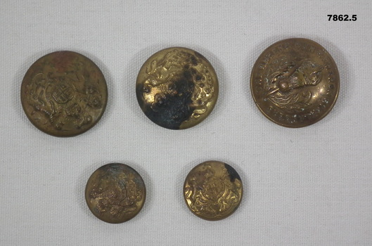 Collection of British Army buttons.