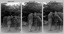 Defence Force Service Medal Presentations on Corps Day at the Army Survey Regiment, Fortuna Villa, Bendigo. c1976.