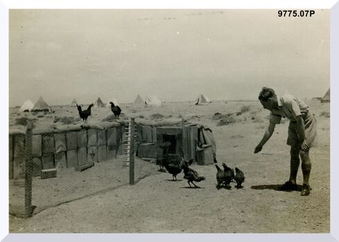 9775.07P Western Desert Snowys poultry farm Western Desert