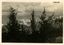 9780.05P Lebanon Beirut Looking out toward Cedars Beirut Feb 1942