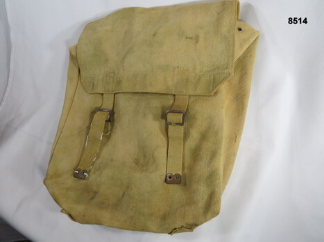 Khaki large pack carried on the back.