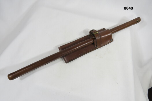 Leather swagger stick and frog.