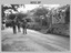 Army Survey Regiment CO’s Parade, Bendigo circa 1977.