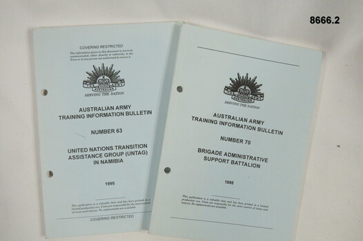 Manuals on Administrative Support and United Nations Transition.