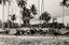 Tent lines set up in Palm trees.