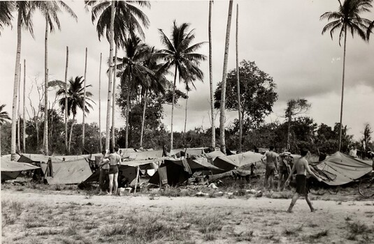Tent lines set up in Palm trees.