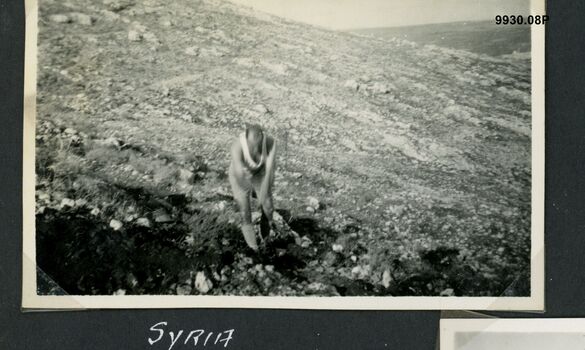 9930.08P Syrian landscape 01.jpg