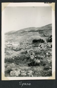 9930.09P Syrian landscape 03.jpg
