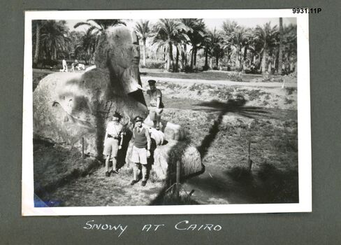 9931.11P Snowy at Cairo