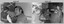 Lithographic Squadron, Photo Troop - Army Survey Regiment, Bendigo. c1985.