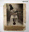 Original and copy of a photograph of a 'Dickin Medal' pigeon.