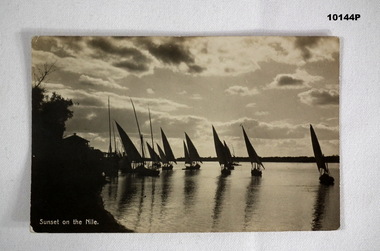Sunset on the Nile River Postcard.