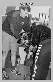Dog Sitting on Chair with WO2’s Cap, Lithographic Squadron, Army Survey Regiment, Bendigo. 1990.