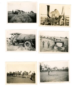 AASC column in Central Australia 1942