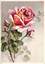 German postcards included in 10197