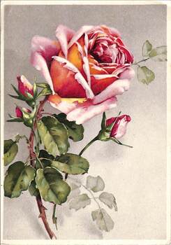 German postcards included in 10197