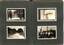 Sample of images. Images are fixed into card, and have no identifying information 