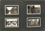 Sample of images. Images are fixed into card, and have no identifying information 