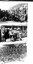 Sample photographs from Thomason album featuring AIF
