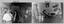 All-Ranks ‘Peace Party’ Function, Army Survey Regiment, Bendigo. 1992.