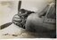 P40 Western desert                                  