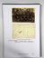 Book of scanned WW1 histories - Hindley Brothers 1918.