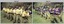 Annual Sport Competition: Flag Day - Army Survey Regiment Verses School of Military Survey. 1991