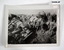 Photos of trench soldiers WW1.