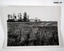 Photographs of various WW1 scenes.