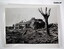 Black and white photographs of WW1 Battlefields.