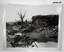 Black and white photographs of WW1 Battlefields.