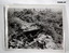 Black and white photographs of Battlefield scenes in WW1.