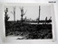 Black and white photographs of cratered Battlefields in WW1.