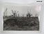 Black and white photographs of cratered Battlefields in WW1.
