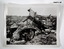 Photos of WW1 Battlefield scenes.