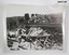 Photos of WW1 Battlefield scenes.