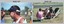 Inter-Squadron Athletics Competition - Set 2, Army Survey Regiment 1990.