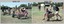 Inter-Squadron Athletics Competition - Set 2, Army Survey Regiment 1990.