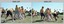 Inter-Squadron Athletics Competition - Set 2, Army Survey Regiment 1990.