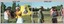 Inter-Squadron Athletics Competition – Set 3, Army Survey Regiment 1990.