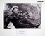 Photograph, black and white portrait, from WW2.